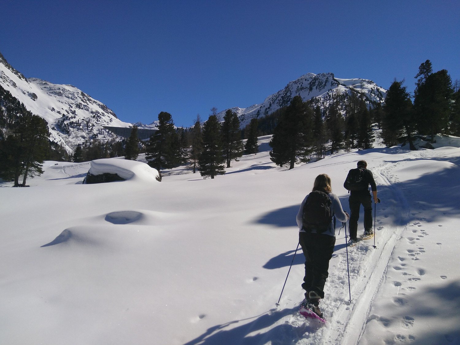 25 janvier 2022 Sortie raquettes Nendaz sport adultes