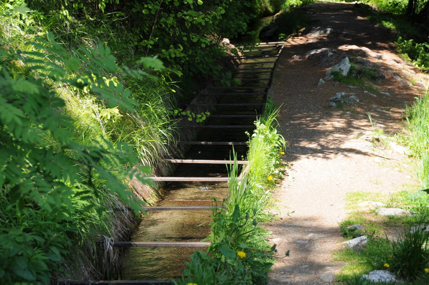 19.08.2019 Histoire des bisses, le lait des glaciers