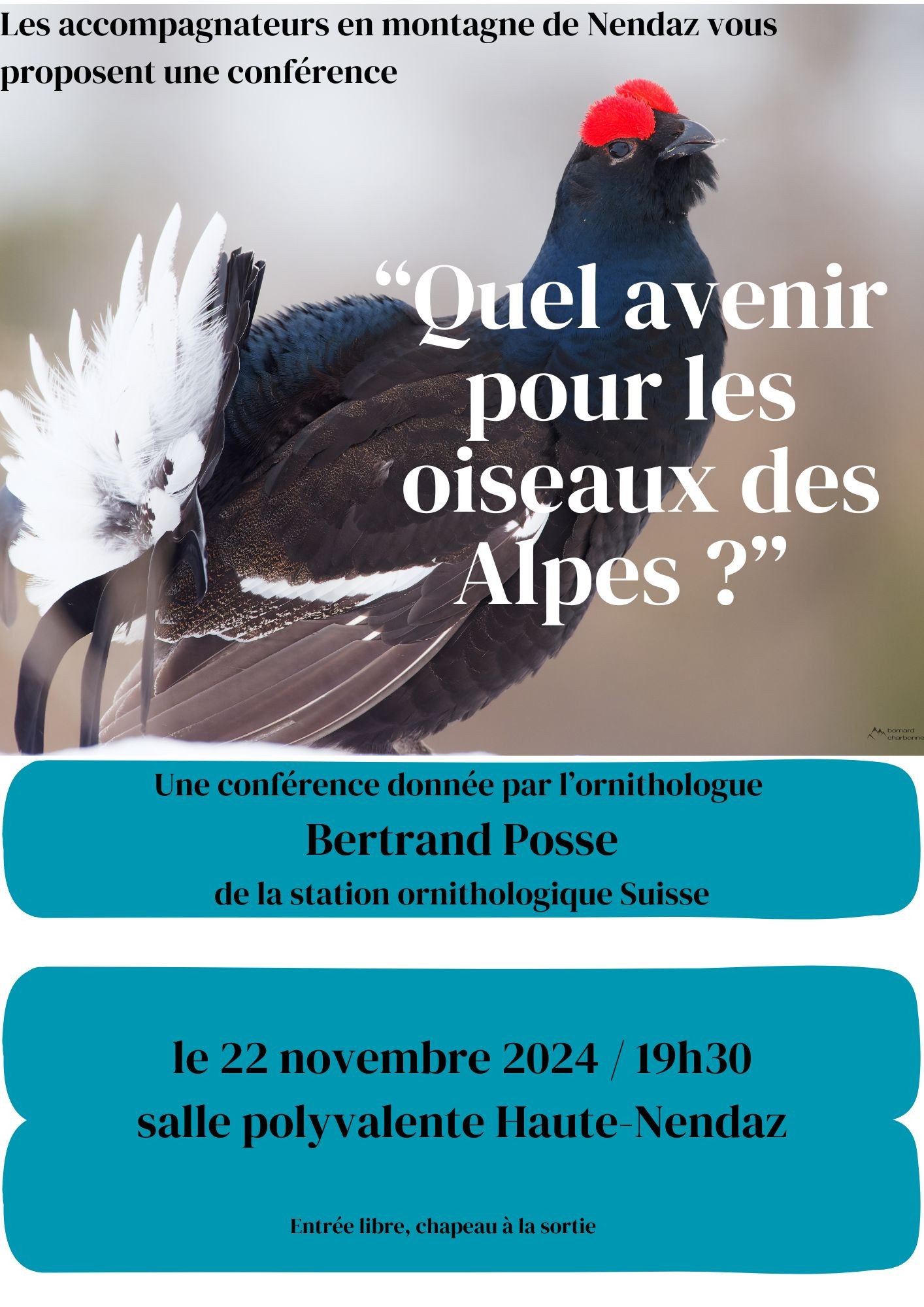 22 .11.2024 - Quel avenir pour les oiseaux des alpes ?