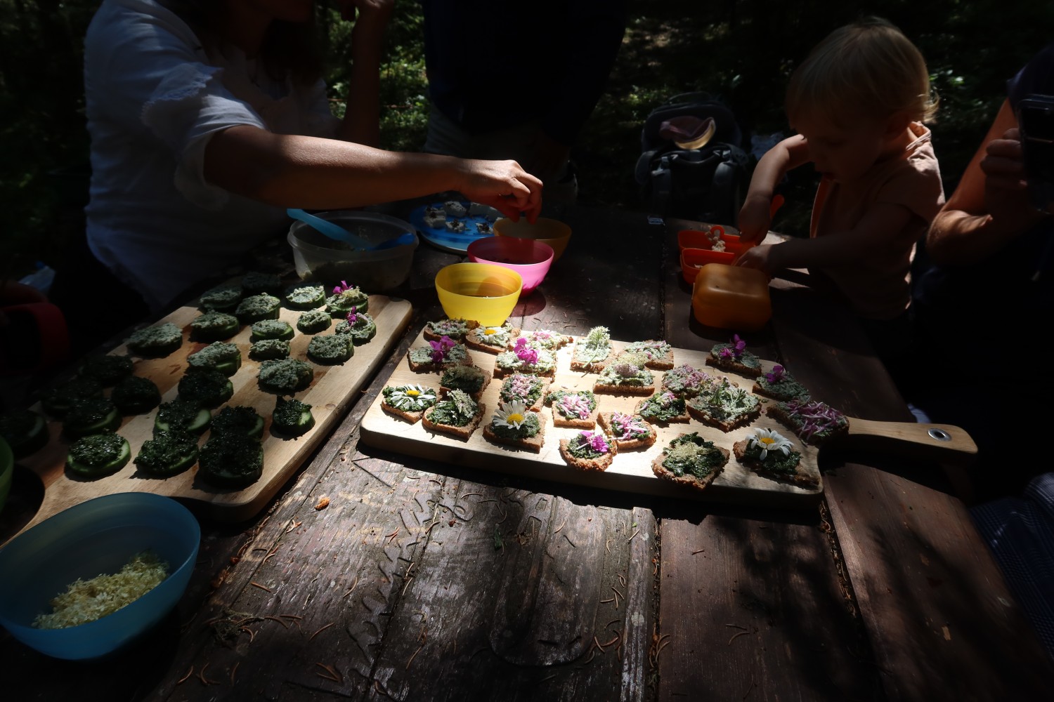 les jeudis du 17 juillet au 14 août 2025 - Plantes comestibles : rando, cueillette et apéro-dégustation