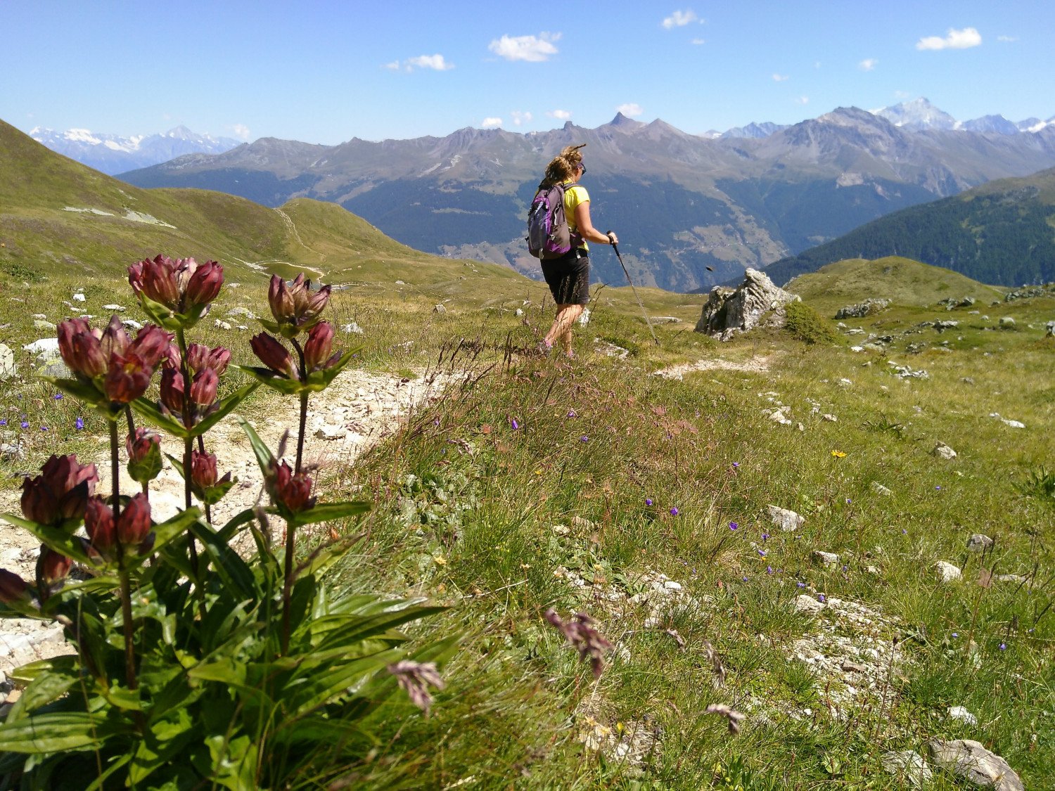 04.08.2020 Randonnée panoramique