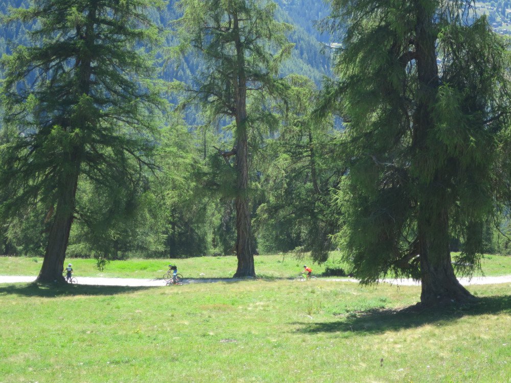 22.07.2020 VTT famille