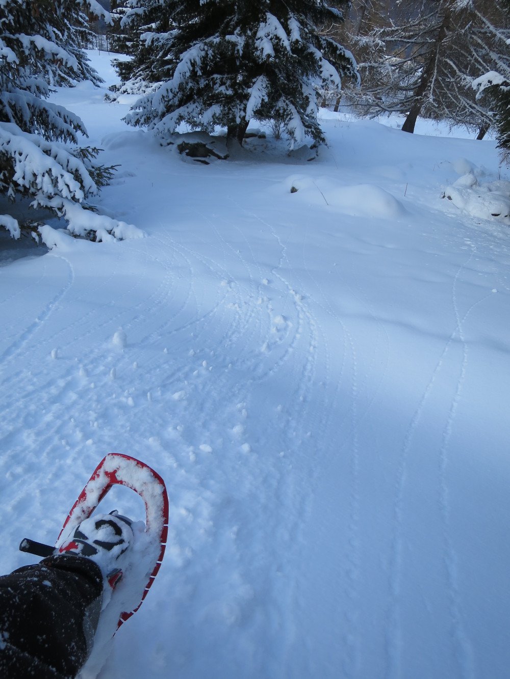 La neige est arrivée !!! Youhouhou !!!!