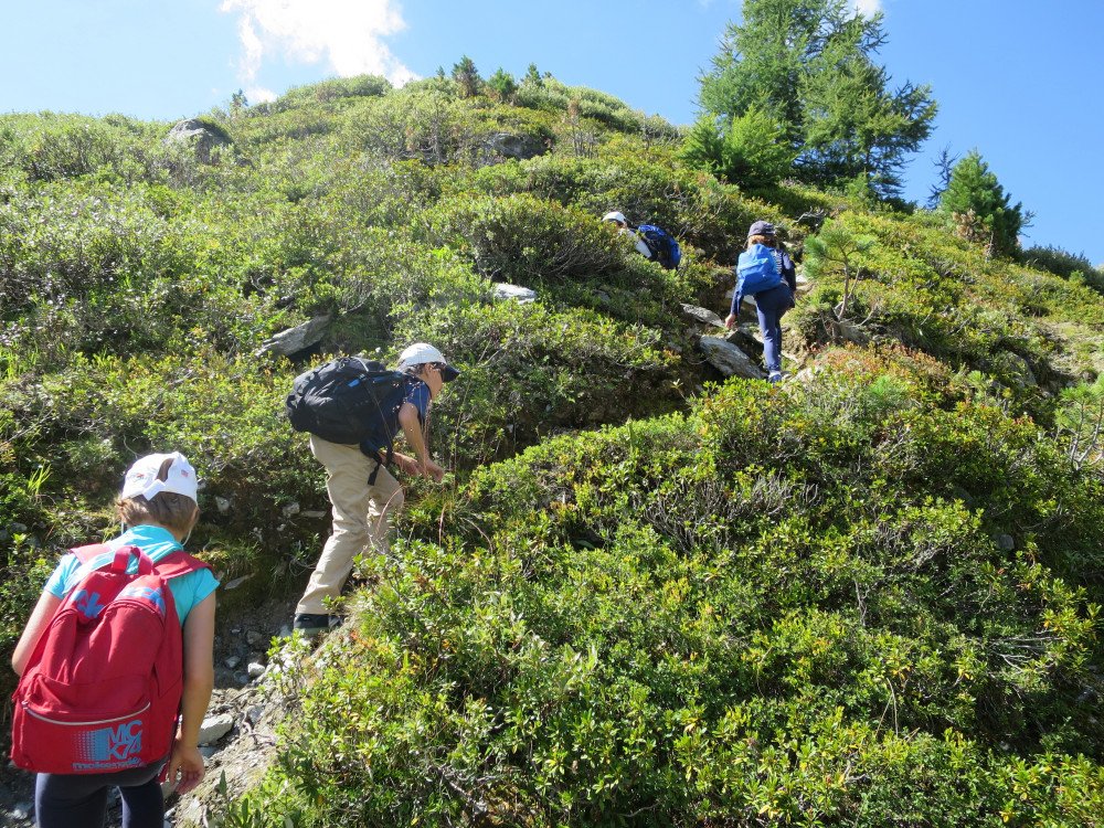 Stage nature découverte du 14 au 18 août 2017
