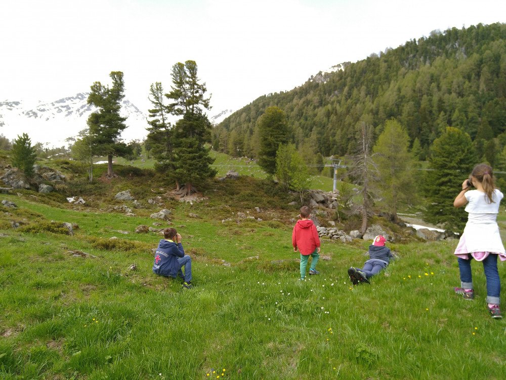 Fête de la nature 26 et 27 mai 2018