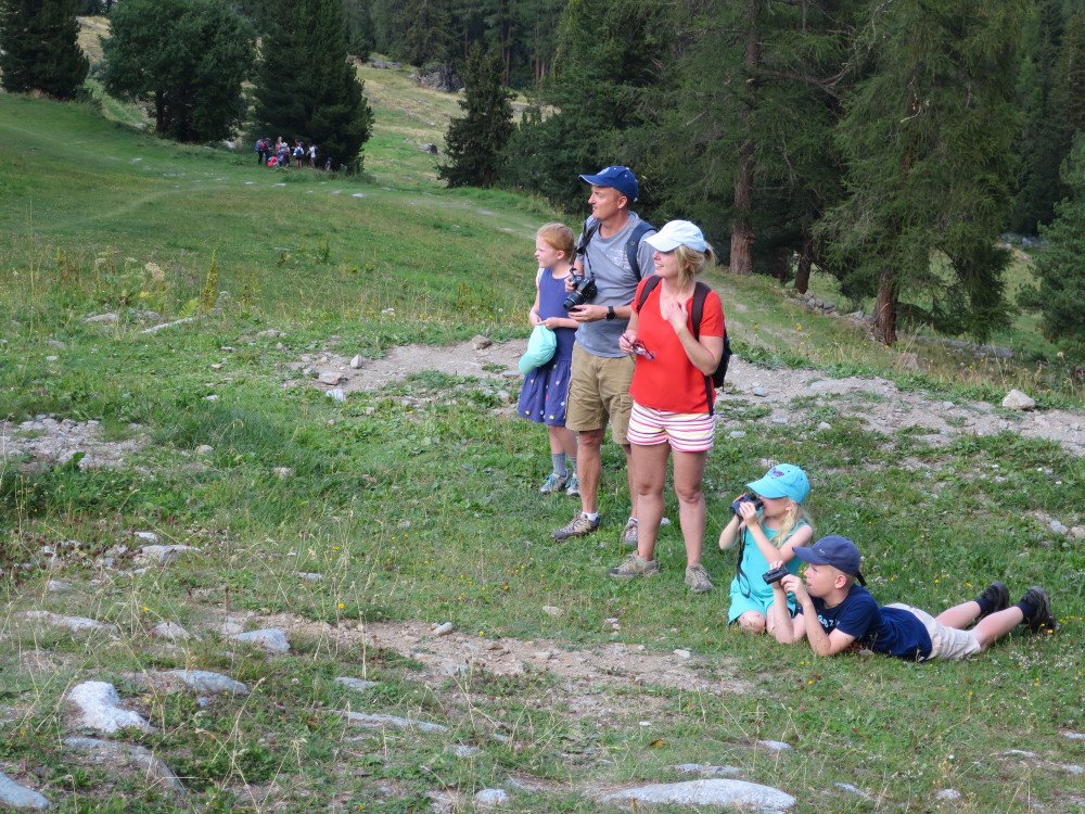 16.08.2018 La vie des marmottes