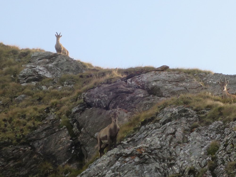 29-30.08.2018 Randonnée de 2 jours