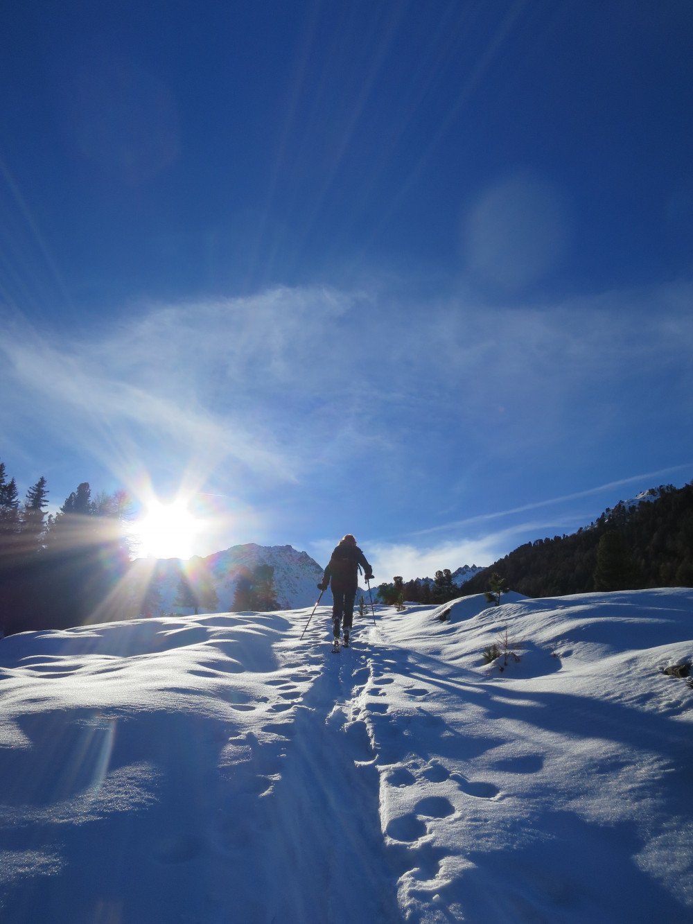24.02.2019 Initiation au ski de randonnée