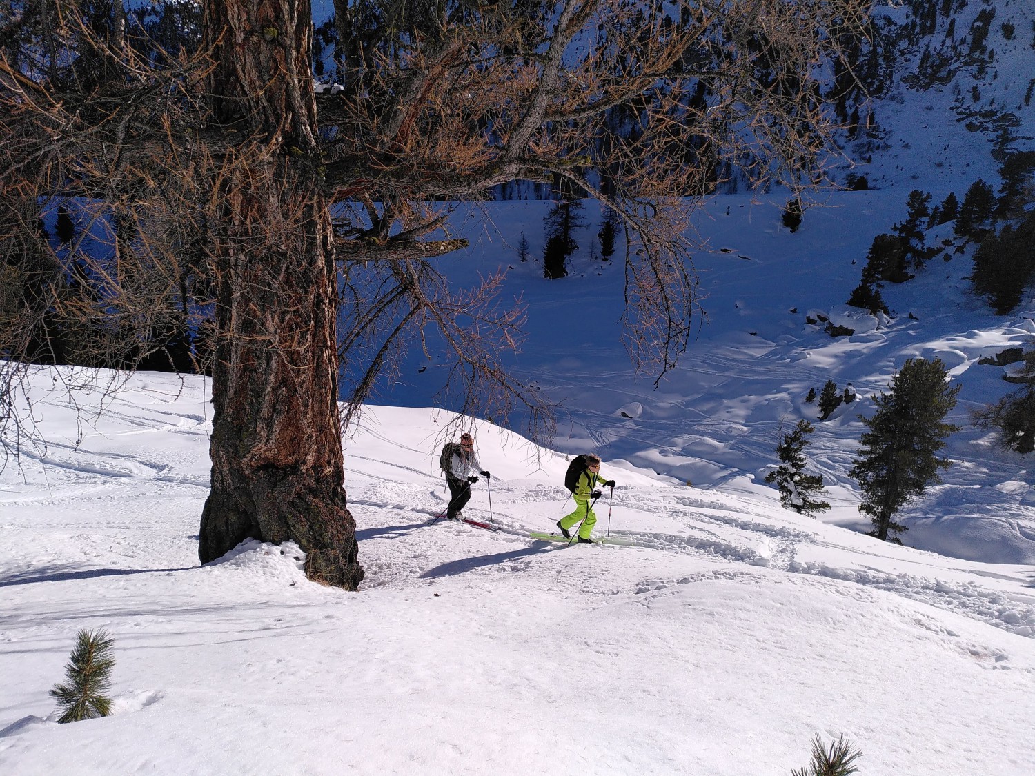 Samedis et dimanches de janvier 2023 - Osez le ski de rando